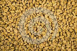 Fenugreek seeds background, spice, culinary ingredient. Indian Spices