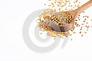 Fenugreek Seeds Methi Dana White background