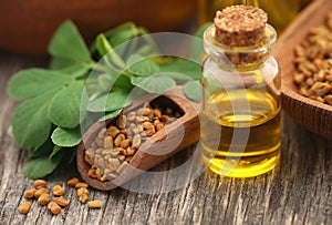 Fenugreek seeds with oil in bottle photo