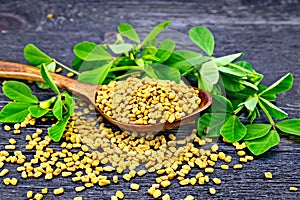 Fenugreek with leaf in spoon on board