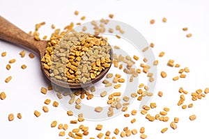 Fenugreek seeds in spoon on white background