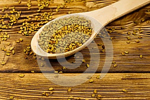 Fenugreek seeds in wooden spoon on wooden table