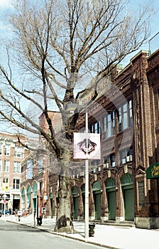 Fenway Park before changes made after 2003