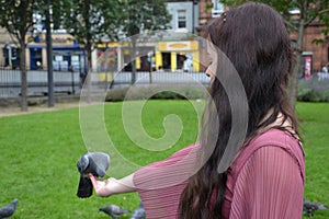 A feral urban pigeon perching on a lady`s hand