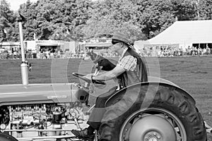 Ferguson Tractor Being Driven by a Man With a Dog on His Lap.