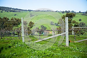 Ferguson Valley photo