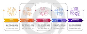 Fermentation bioprocessing rectangle infographic template