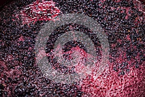 Fermentation of grape must, winemaking concept. Top view.