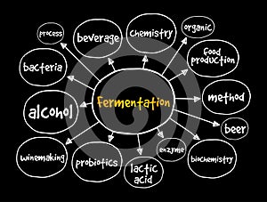 Fermentation mind map, concept for presentations and reports