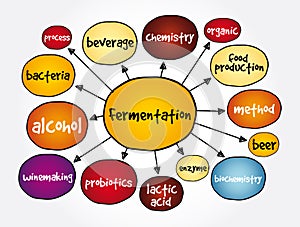 Fermentation mind map, concept for presentations and reports