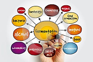 Fermentation mind map, concept for presentations and reports