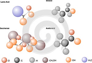 Fermentation Molecules