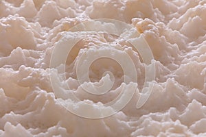 Fermentation vats for fermenting malt for beer - open spilka. Beer preparation