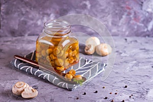 Fermented canned champignon mushrooms in a wooden eco spoon and in a glass jar with garlic, bay leaf on a gray napkin with dill