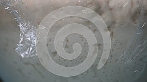 Fermented dough in a glass bowl, macro. Leavening of dough.