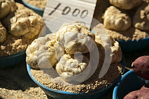 Fermented head of garlic at a Kyoto market in Japan.