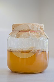 Fermented Kombucha Tea