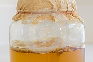 Fermented Kombucha Tea
