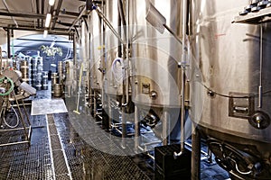 Fermenter tanks in microbrewery.