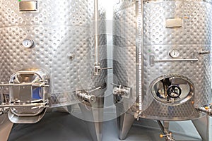 Fermenter and Vinificator