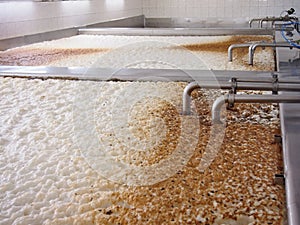 Fermenting of a beer