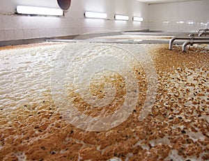 Fermenting of a beer