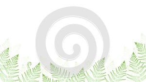 Fern or brake plant leaves forest frame background. Vector illustration graphic drawing green vascular bush