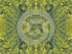 Fern collage leaves seamless pattern