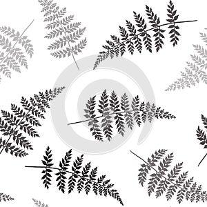 seamless fern leafpattern