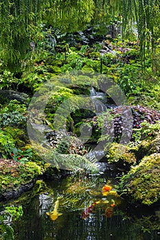 Fern gardens and trees with a small waterfall