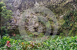 Fern Grotto , Kauai