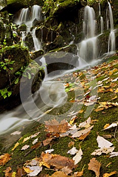 Fern Grotto Waterfall