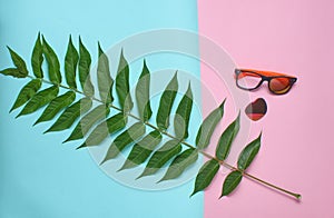 Fern leaf,broken sunglasses on a colored pastel background. Women's accessories, botanical style, beach rest, top view.