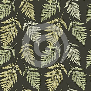 Fern leaf seamless pattern background. Vector Illustration