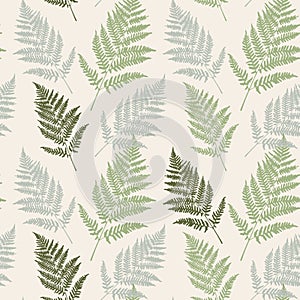 Fern leaf seamless pattern background. Vector Illustration