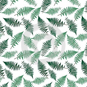 Fern Leaf Vector Fern Leaf Vector Seamless Pattern Background