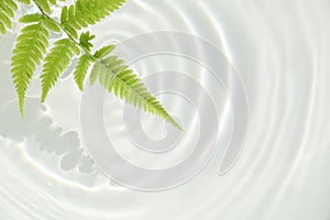 Fern leaf and water ripple background 2