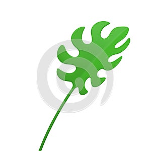 Fern tropical herbal green leaf stem ecology wild rainforest floral plant isometric 3d icon vector