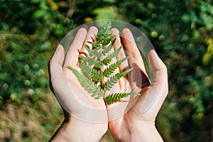 Fern on a woman`s palm. Fern leaf with plant texture and pattern. Ecology and health concept