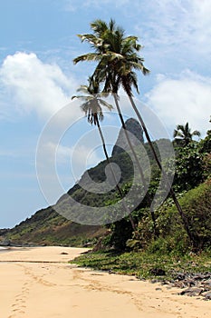 Fernando de Noronha - Brazil