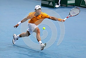 Fernando VERDASCO (ESP) at BNP Masters 2009