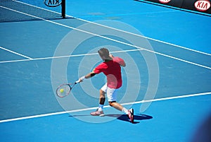 Fernando Verdasco powerful forehand