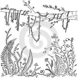 Ferns, flowers, vines and berries in a forest, dense vegetation. Printable coloring page for adults, anti-stress activity. EPS 10