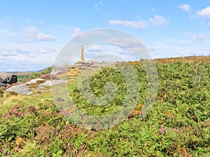 Through ferns and heather to the top of Birchen Edge