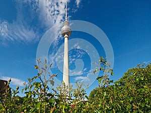 Fernsehturm (TV Tower) in Berlin