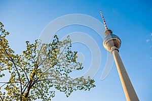 Fernsehturm (TV Tower), Berlin Alexanderplatz