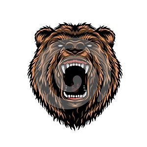 Ferocious aggressive bear head colorful concept