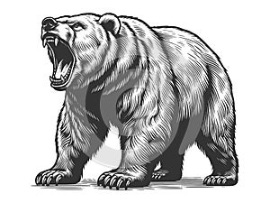 Ferocious Bear Roaring raster illustration