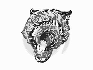 Ferocious roaring tiger. Angry tiger. vector Abstract ink splashes on the background