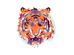 Ferocious roaring tiger. vector Abstract ink splashes